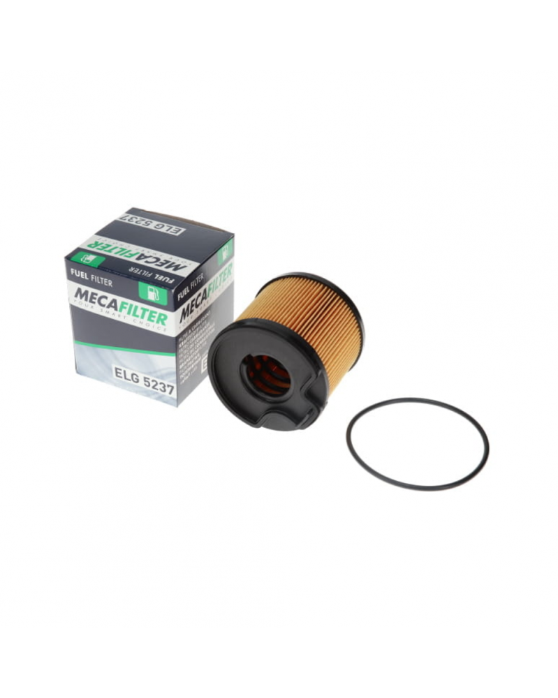 FILTER NAFTE DW10TD/DW10ATED/DW12TED4